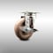 Service Caster 4 Inch 316SS High Temp Glass Filled Nylon Swivel Top Plate Caster with Brake SCC SCC-SS31620S414-GFNSHT-TLB - alternate 1